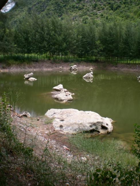 SANY7531.jpg